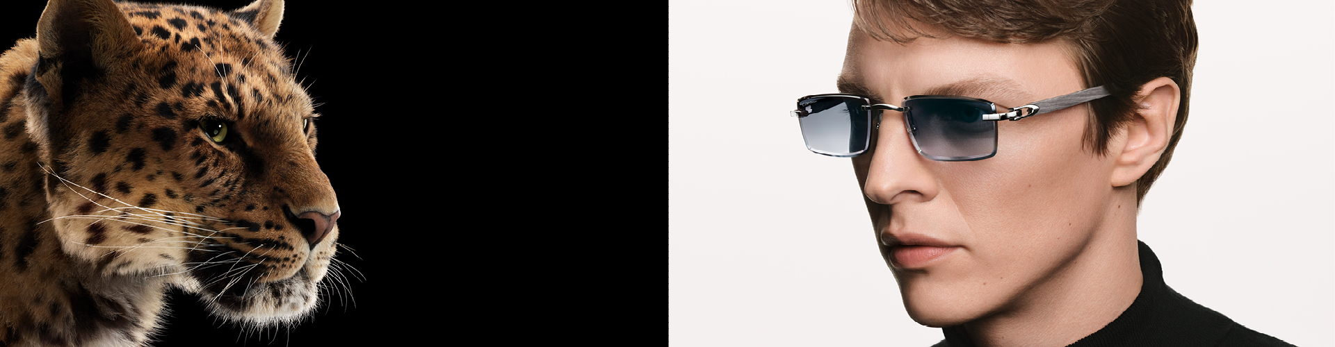 Cartier Category Banner